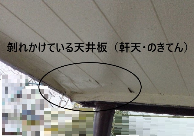 天井板（軒天）　剝れかけている